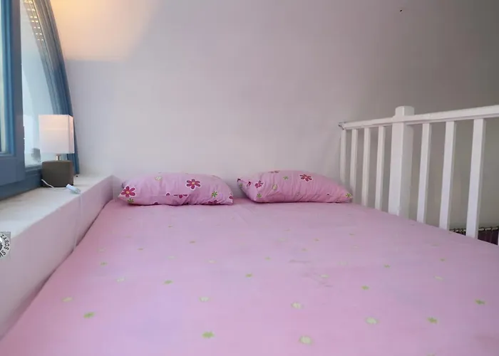 Captain Lazaros And (adults Only) *