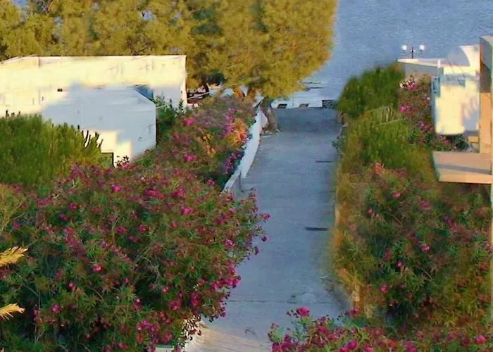 Captain Lazaros And (adults Only) *